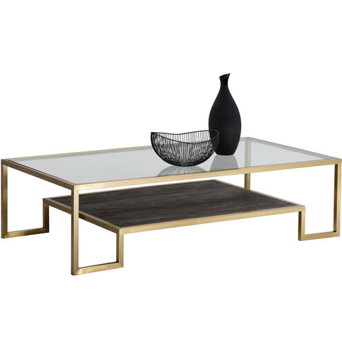 Carver 59 X 31.5 inch Clear / Matte Gold Coffee Table